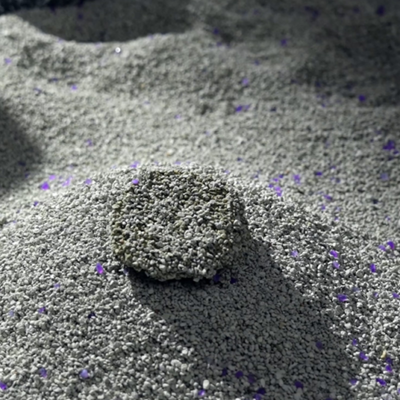 En İyi Mineralli Kedi Kumunu Seçmek: Daha Temiz Bir Ev İçin Pratik İpuçları